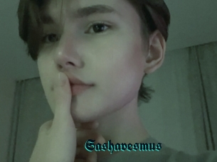 Sashavesmus