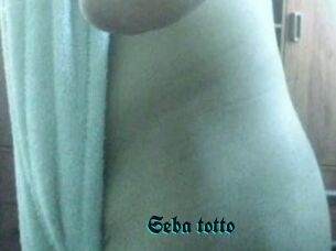 Seba_totto