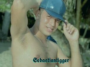 Sebastiantigger