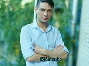 Sid_incube