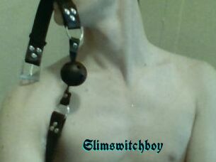 Slimswitchboy