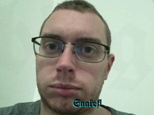 Snakefl