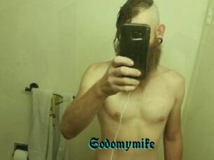 Sodomymike