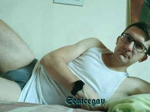Sonicegay