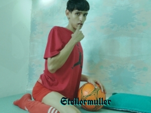 Steilormuller