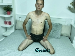 Svendix