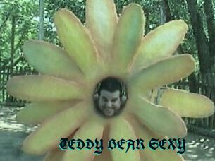 TEDDY_BEAR_SEXY