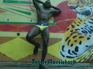 TaylorMusclehard