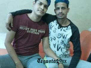 Tegusta29xx