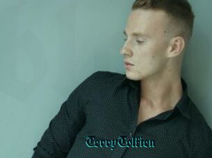 TerryTolkien