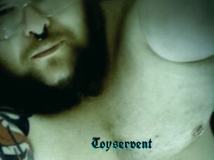 Toyservent