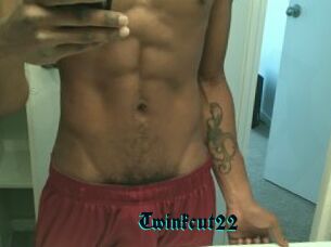 Twinkcut22