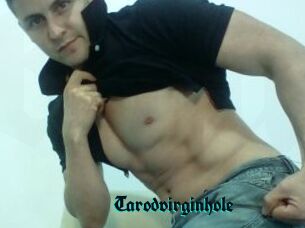 Tarodvirginhole