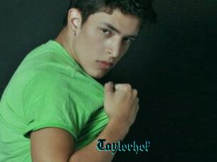 Taylorhok