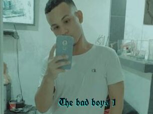 The_bad_boys_1