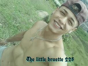 The_little_bruette_228
