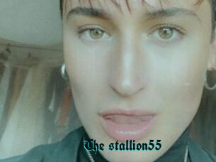 The_stallion55