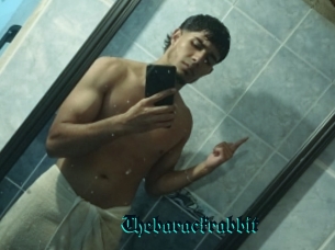 Thebarackrabbit