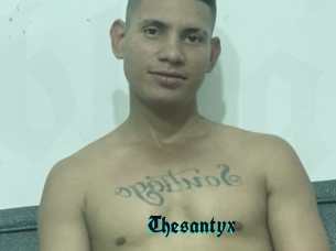 Thesantyx