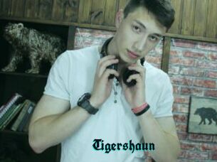 Tigershaun