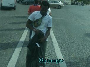 Tigrenegro