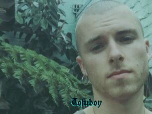 Tofu_boy