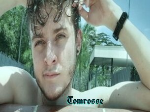 Tomrosse