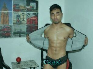 Torusd