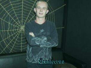 Trantcerus