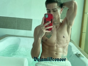 Velamiikconoor