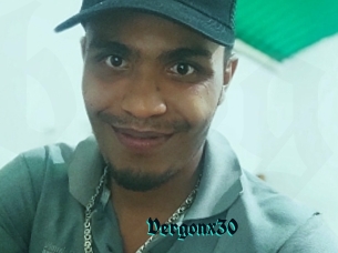 Vergonx30
