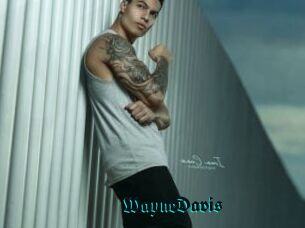 WayneDavis