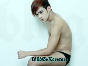 WildSeXcretary