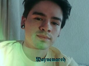 Waynemarsh