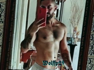 Wolffp29