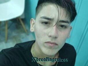 Xbreakingrulesx