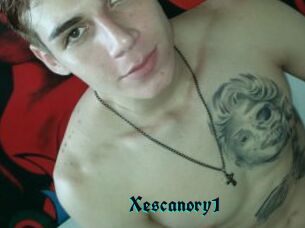 Xescanory1