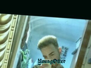 YoungOtter