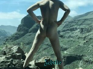 Zebrito